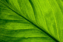 Eco-friendly luxury: what is it